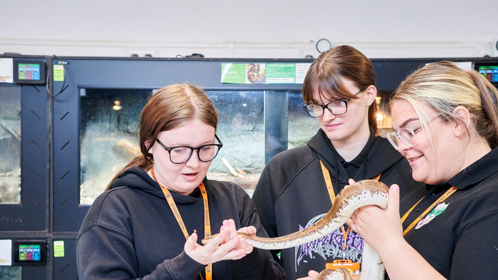 A group of students holding a snake