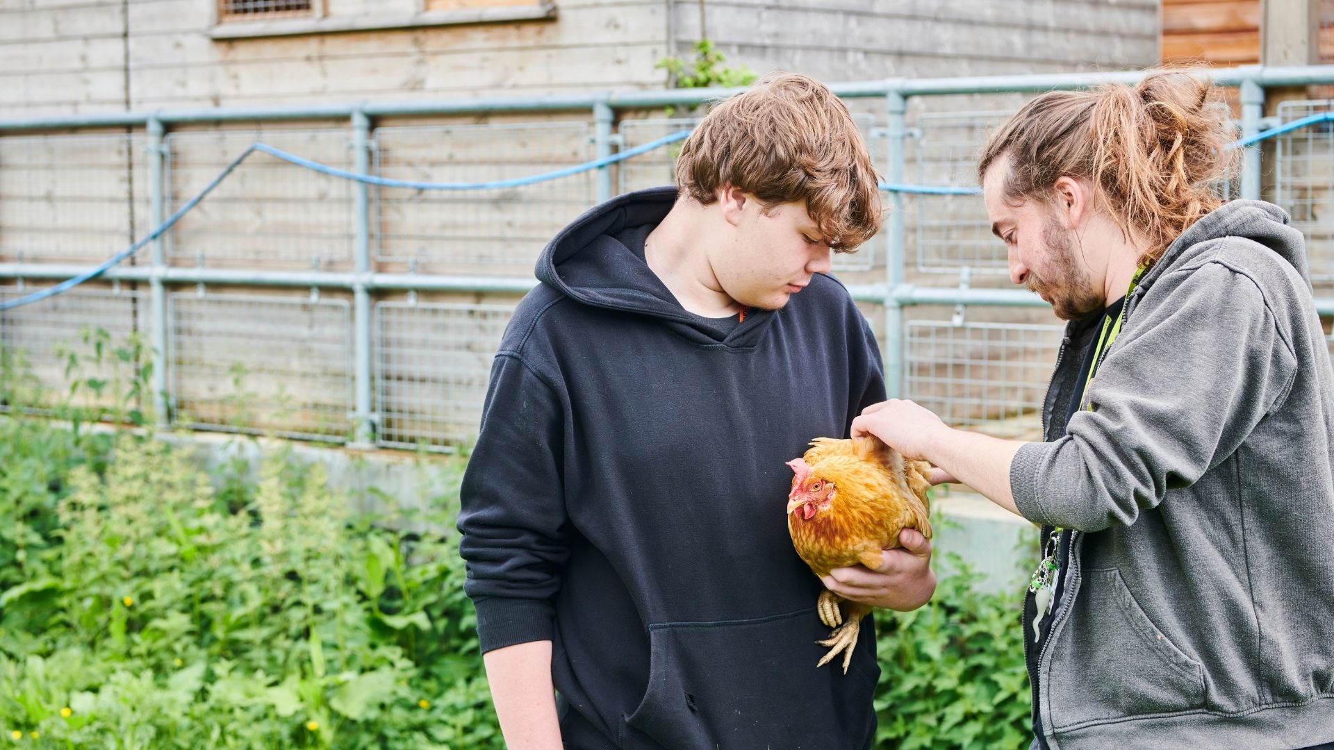 Student and lecturer outside holding chicken