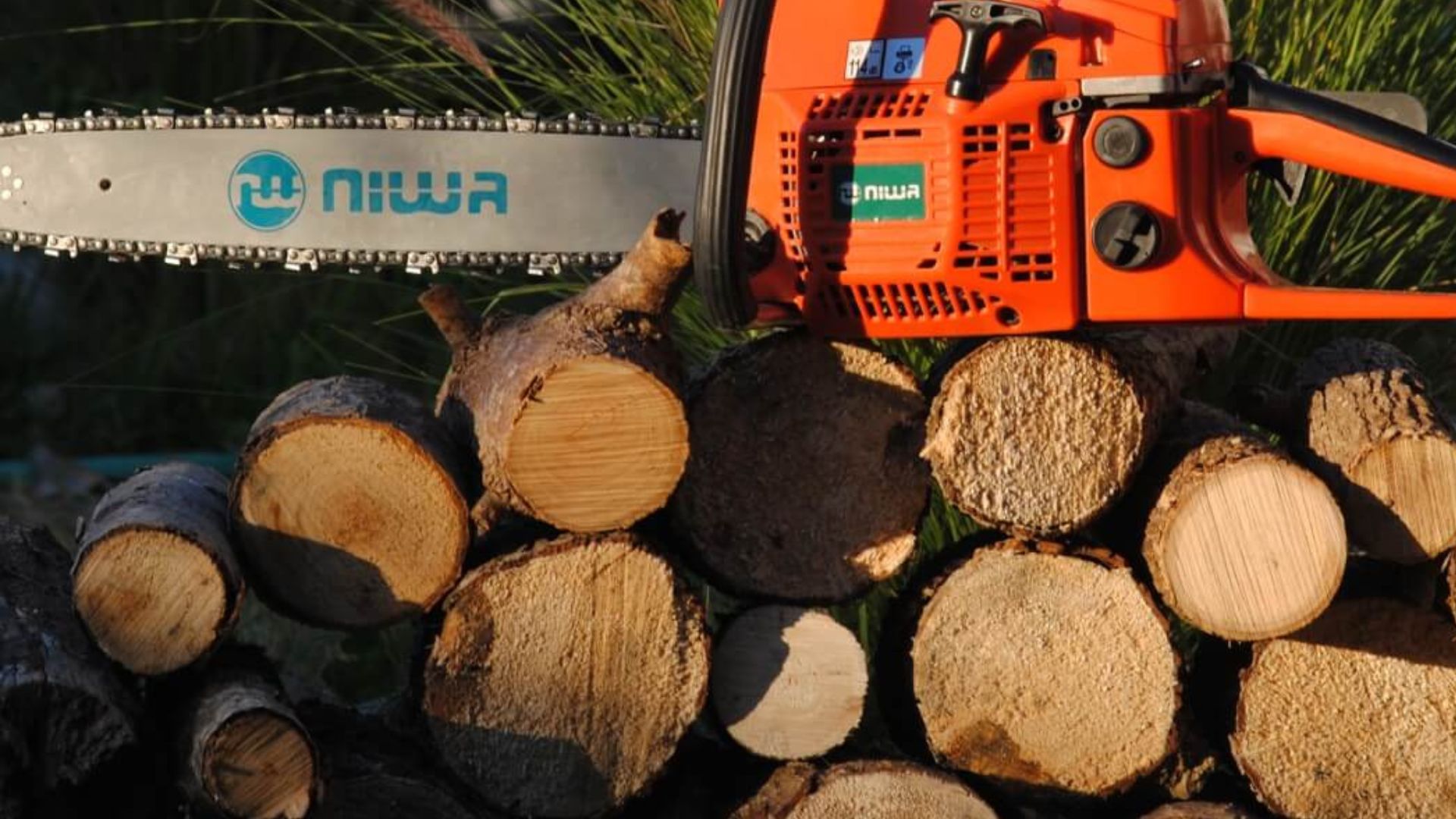 Close up of chainsaw cutting into log.