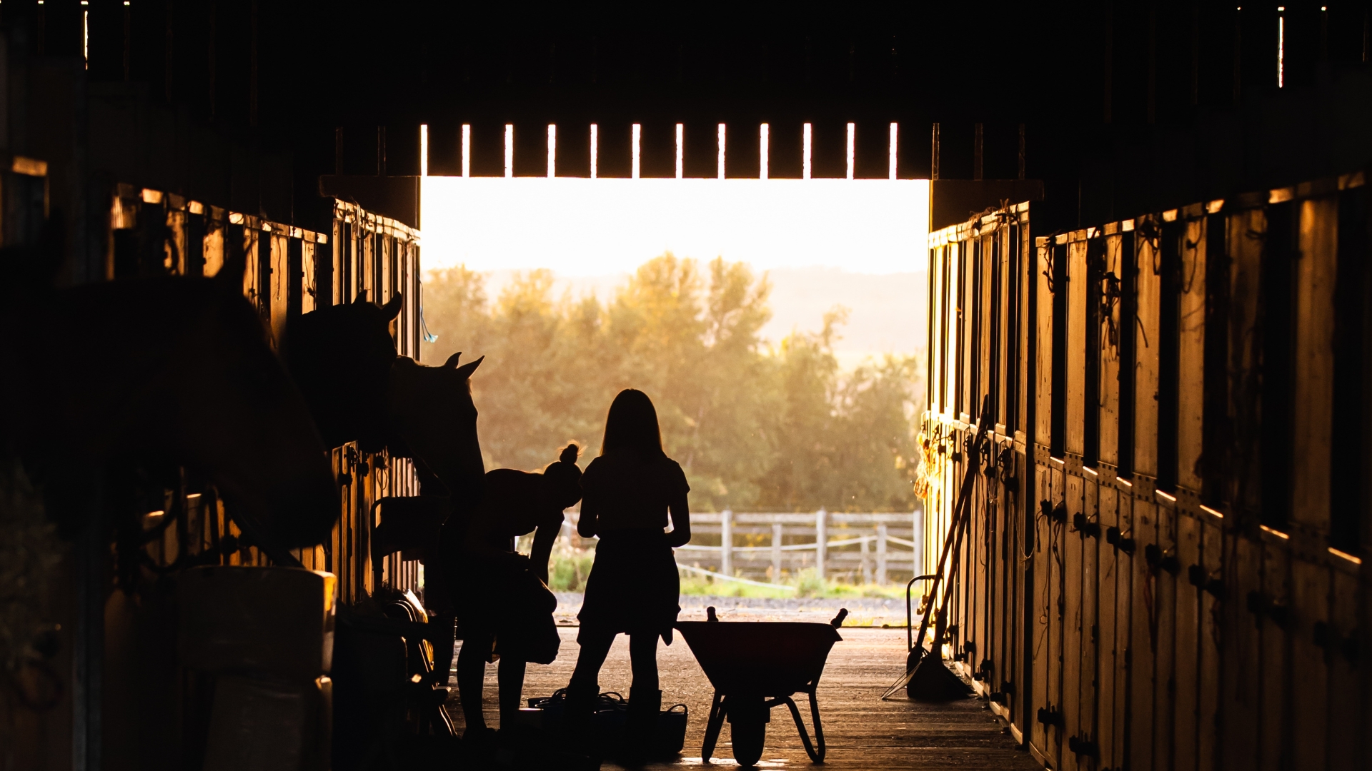 Equine centre at dawn.