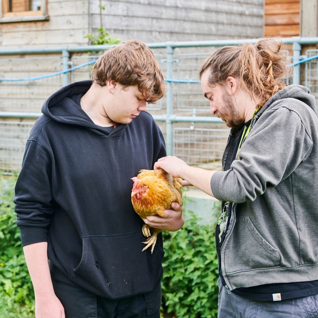 Student and lecturer outside holding chicken