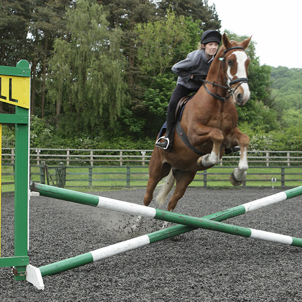 Young woman riding a white and brown horse, that is jumping over an obstacle.