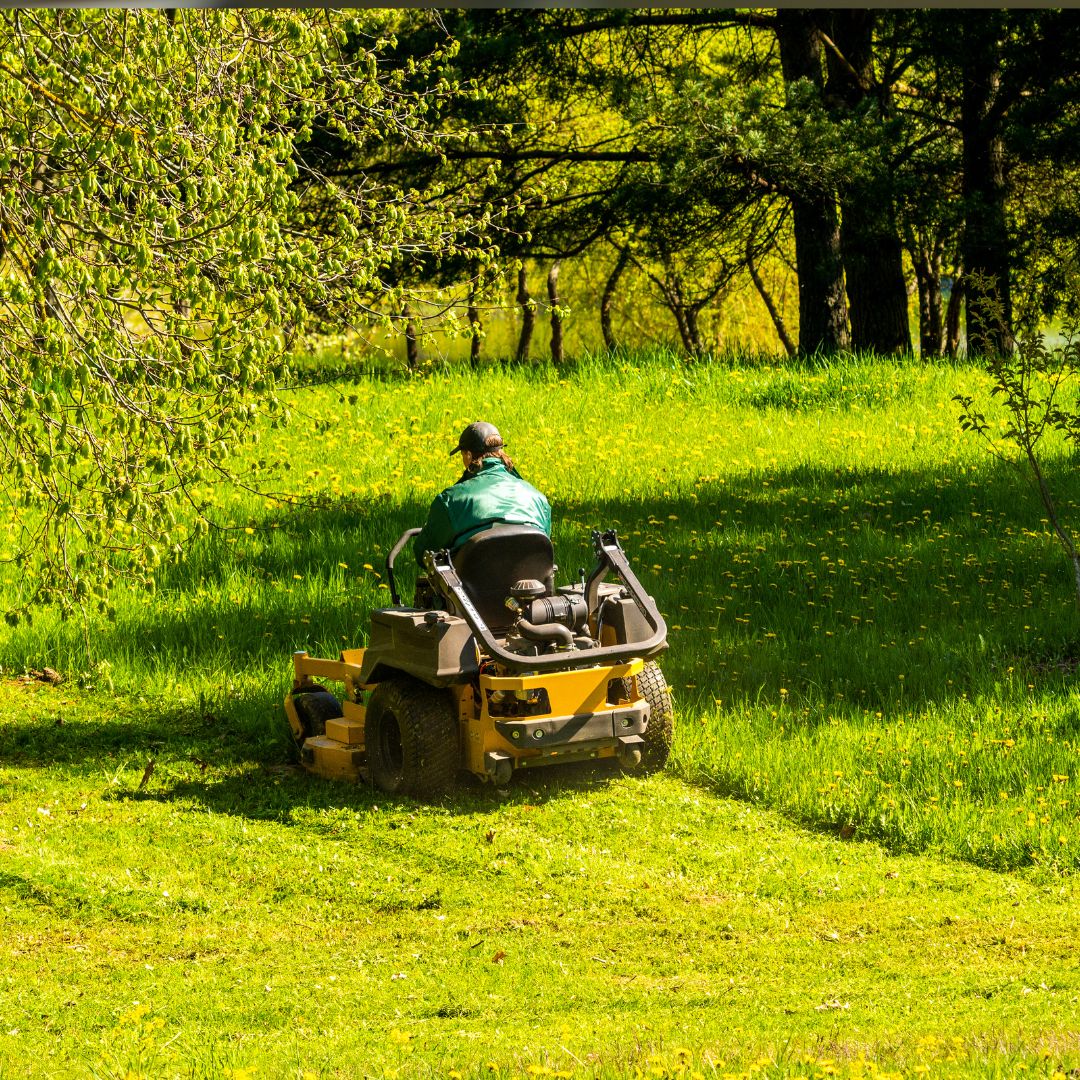Person sitting on ride-on mower mowing grass