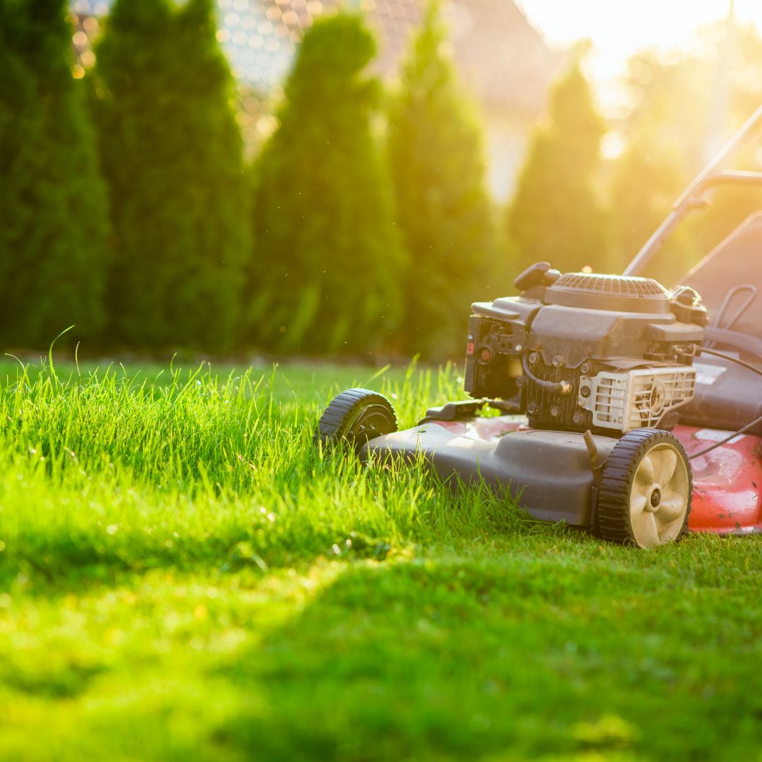 Close up of lawn-mower mowing grass