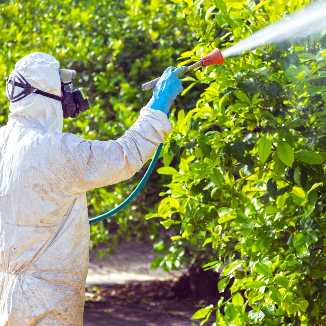 Man applying pesticides using handheld equipment.
