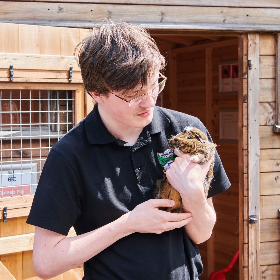 Student holding guinea pig
