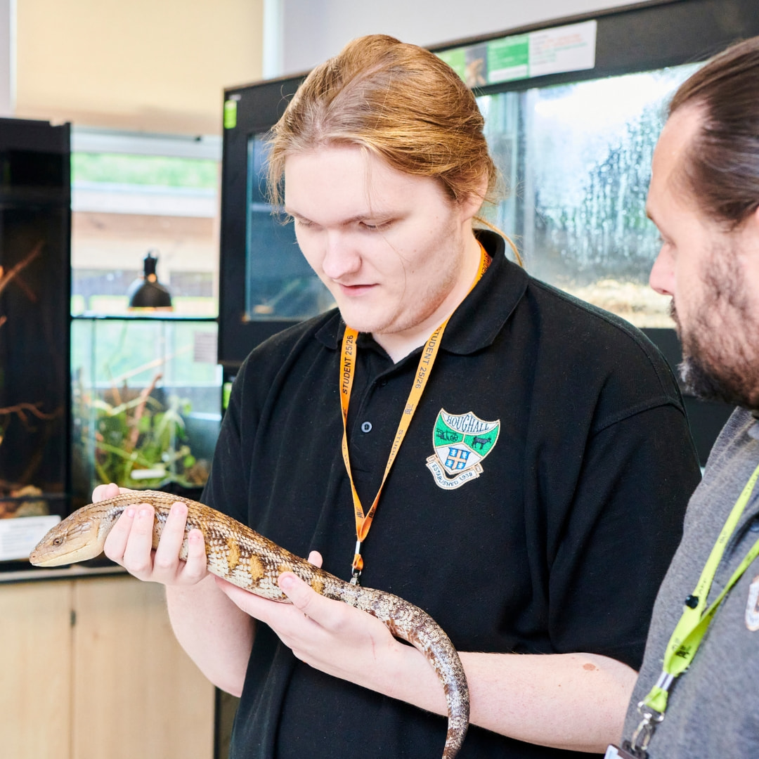 A student holding a small reptile