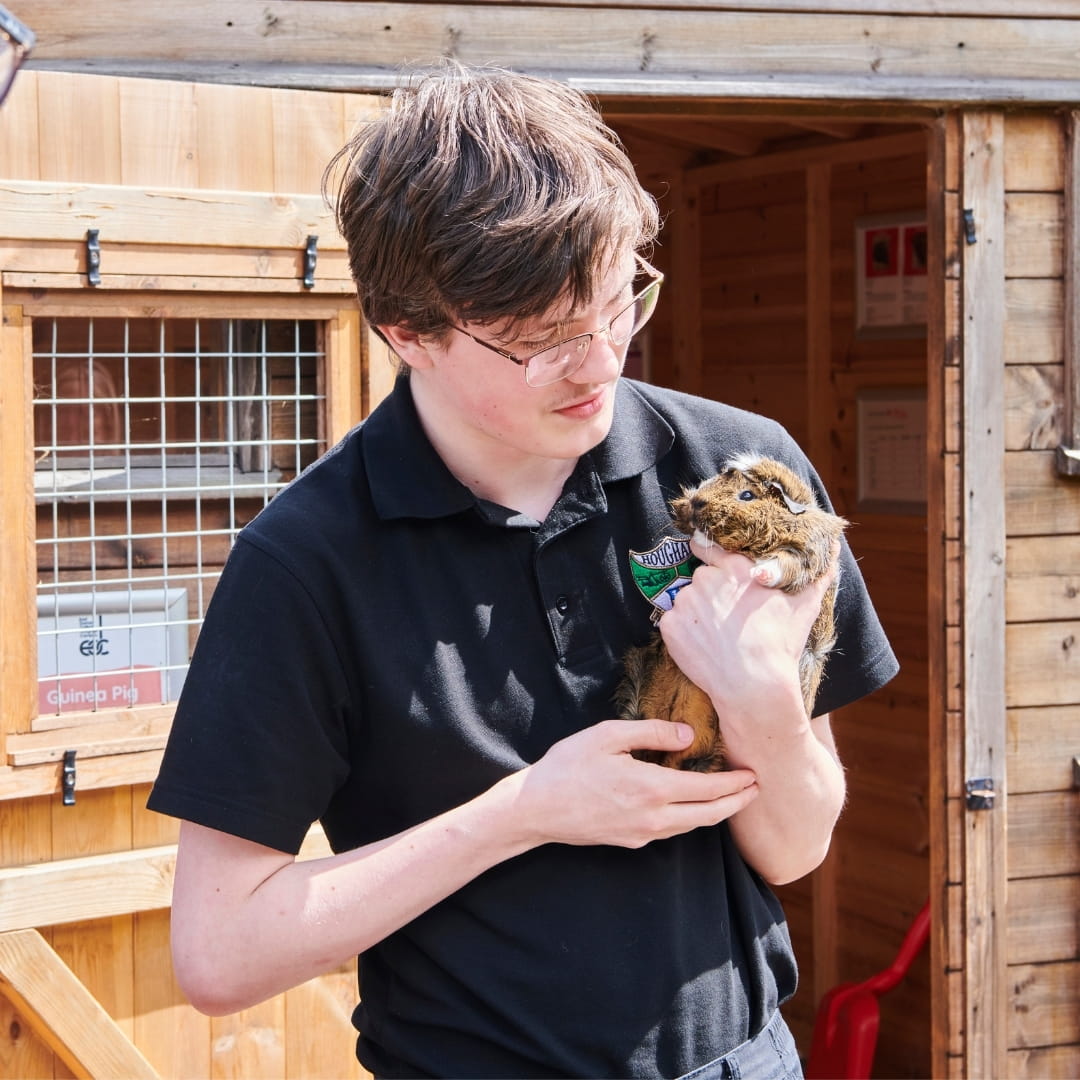 Student holding small guinea pig
