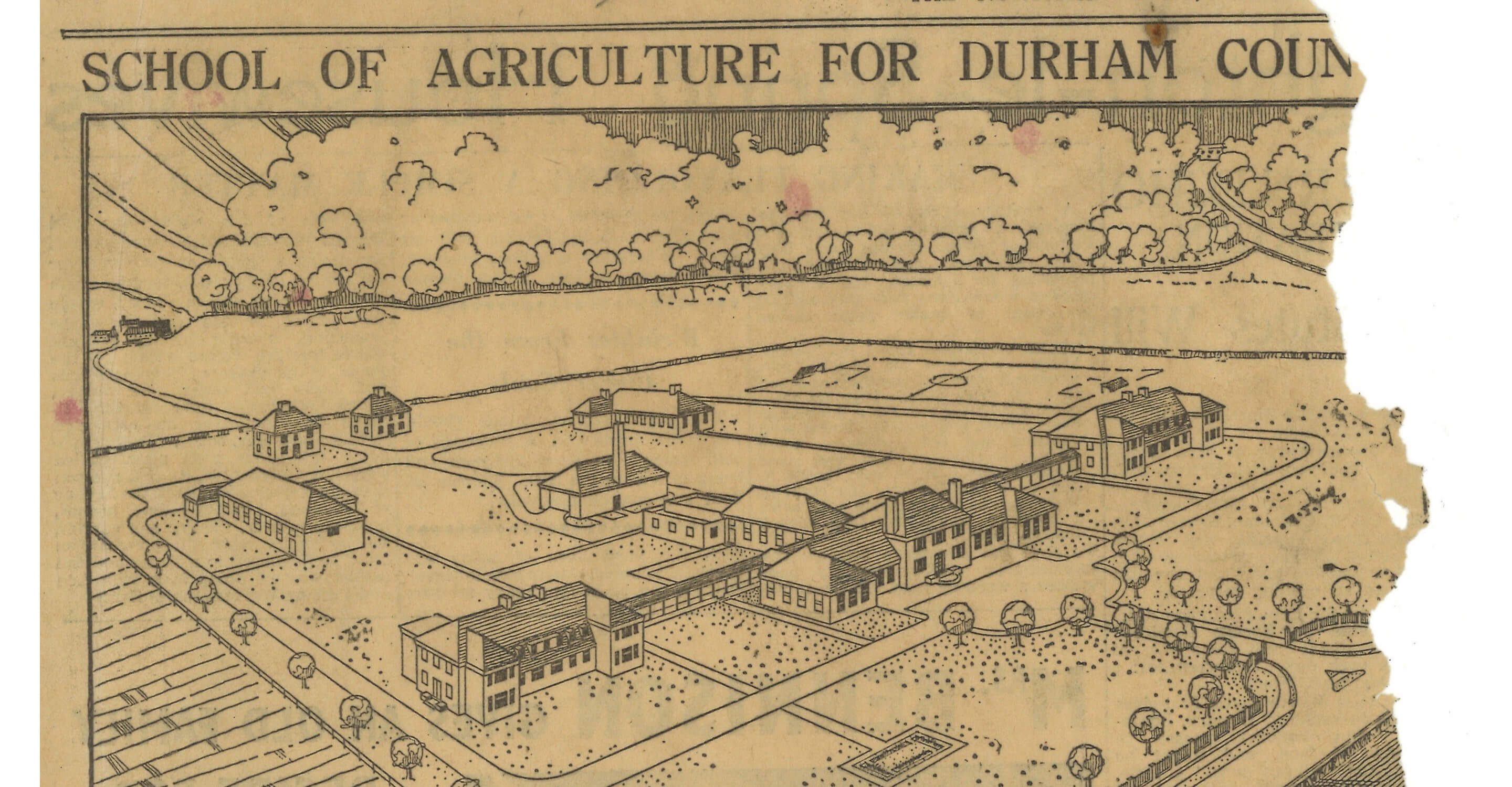Artist impression drawing of Houghall Campus