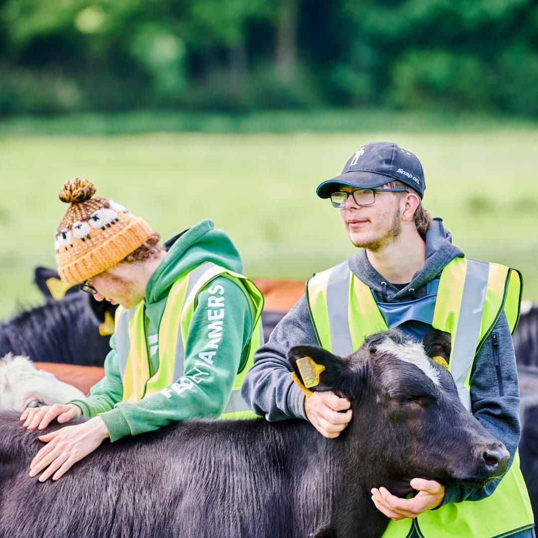 Two agriculture students standing with calf
