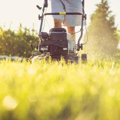 Close-up of someone mowing a lawn 