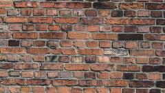 Close-up of a brick wall