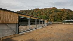 A large cow shed at Houghall