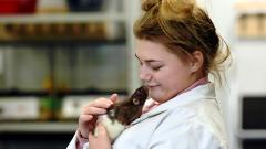 An animal care student cuddling a rat