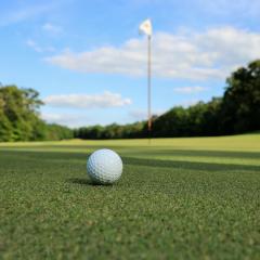 Golf ball on a green in front of the flag