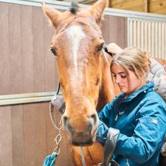 Equine student tacking up a horse
