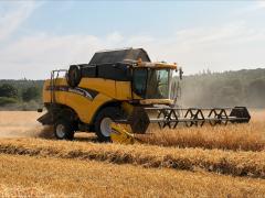 Combine harvester harvesting crops in field